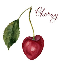 Watercolor cherry with leaf and lettering Cherry. Hand drawn food illustration on white background. For design, textile and background. Realistic botanical illustration.