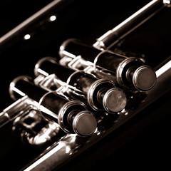 Naklejka premium Flügelhorn IV