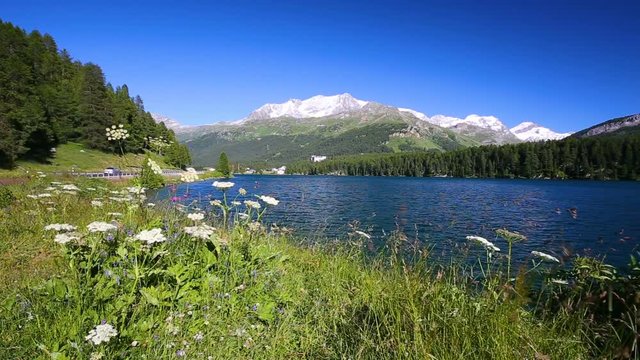 Clear Silvaplanersee with Swiss Alps in the background. Silvaplanersee is a lake in the Upper-Engadine valley of Grisons, Switzerland, Europe. 
