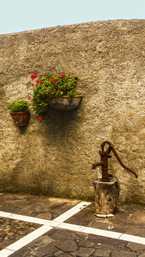 cartolina
