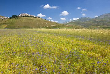 Castelluccio di Norcia prima del terremoto