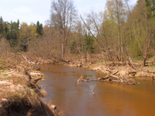 Early spring, river bank, tilt shift