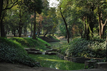 Stream in the middle of a park