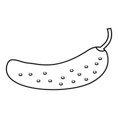 Cucumber icon. Outline illustration of cucumber vector icon for web