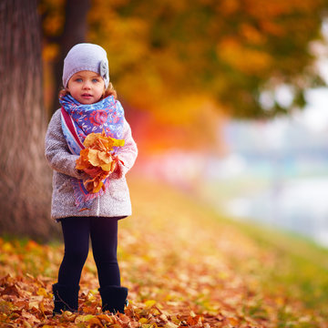 adorable baby girl in autumn park