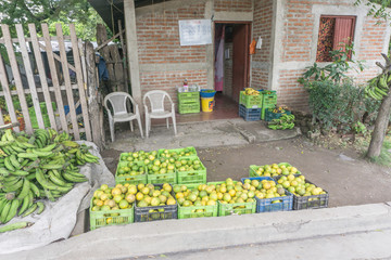 Palacaguina, Nicaragua – October 8, 2016: Rural house outdoors from Nicaragua. Travel general imagery