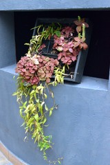 Potted flowers in a niche