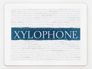 xylophone