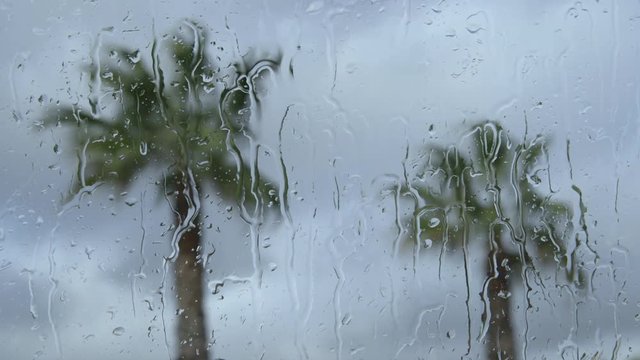 Storm - Rain drops on a window of a car and palm trees in the background  - sequence