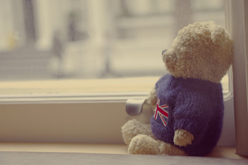 Lonely bear is waiting someone by the window