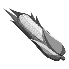 Corncob icon. Gray monochrome illustration of corncob vector icon for web