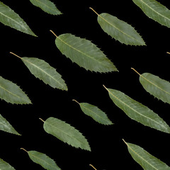 Green leaves photographic seamless pattern. Castanea sativa, fal