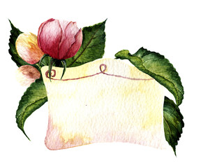 Watercolor vignette with rose and leaves. Botanical illustration.