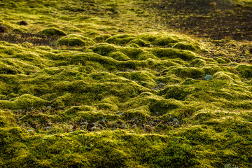 Kerlingardalsvegur, South of Iceland