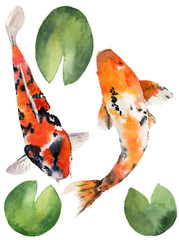 Watercolor oriental rainbow carp with water lily leaves set. Koi fishes isolated on white background. Underwater illustration for design, background or fabric - obrazy, fototapety, plakaty