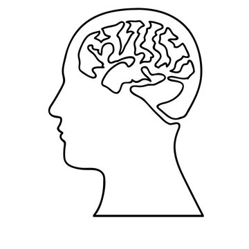 human brain doodle icon image vector illustration design 