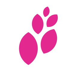 Floral Concept Design