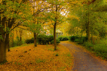 Naklejka premium Southwater Gazebo in Autumn