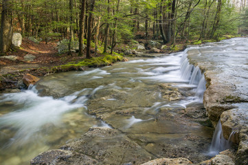 Coxing Kill Cascade in Spring