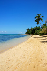 Sandy beach at Pangaimotu island near Tongatapu island in Tonga