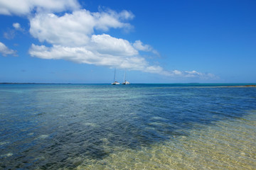 Obraz premium Clear water at Pangaimotu island near Tongatapu island in Tonga
