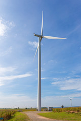 Eco power, Wind turbine on the green grass and corn field over the blue cloudy sky