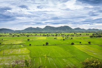 Fototapeta na wymiar Landscape of jasmine rice green field with mountain and cloud sky background at Kanchanaburi Thailand