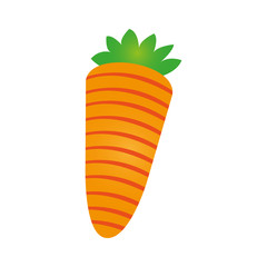 carrot vegetable icon image vector illustration design 