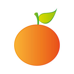 orange fruit icon image vector illustration design 