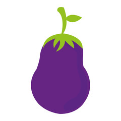 eggplant fruit icon image vector illustration design 