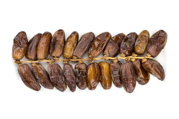 Date palm isolated on white background