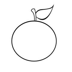 orange fruit icon image vector illustration design 