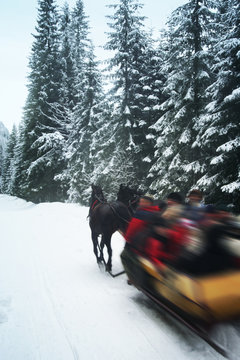 Horse drwan Kulig