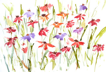 Colorful wildflowers on white, watercolor painting