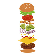 Burger and ingredients  isolated vector infographics illustration. 