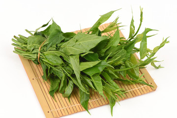 Gymnema inodorum (Lour.) Decne., Plants, vegetables and herbs with medicinal properties of Thailand.