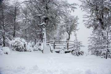 Bariloche