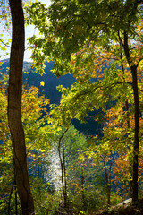 Fall Color in North Carolina