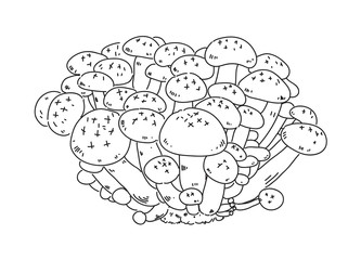 hand draw mushroom, vector