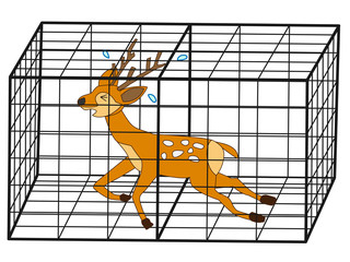 Obraz premium 捕獲されたシカ