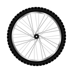 wheel of bicycle vehicle icon over white background. vector illustration