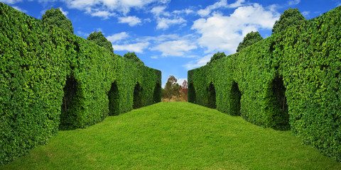 Beautiful alley and blue sky in the park.