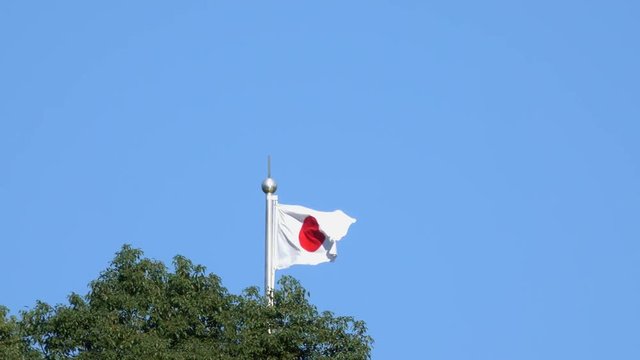 4K・風にはためく日の丸_03-787