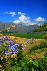 Stellenbosch South Africa