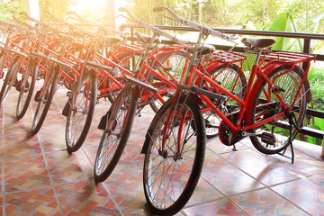 Row of red retro bicycle for rent parked among sunlight in resort at Nakhon Nayok province in Thailand