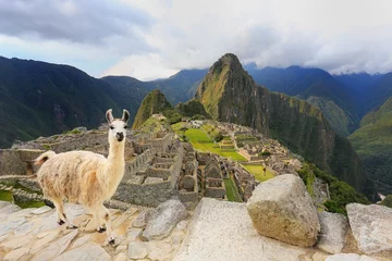 Crédence de cuisine en verre imprimé Machu Picchu Lama debout à Machu Picchu donnent au Pérou