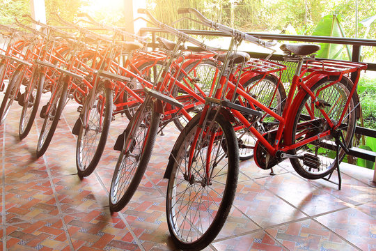 Fototapeta Row of red retro bicycle for rent parked among sunlight in resort at Nakhon Nayok province in Thailand