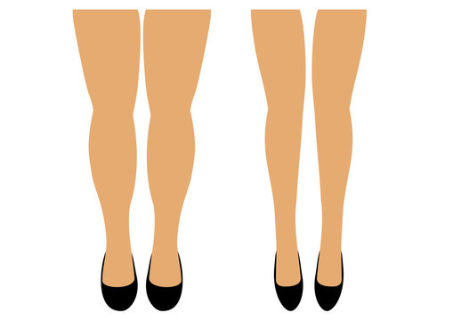 Women's legs two pairs of thin and full vector illustration