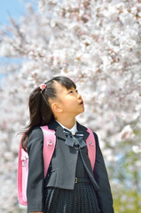 新一年生の女の子（桜）