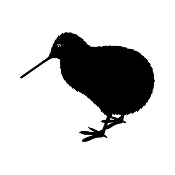 Kiwi Bird Icon Over White Background. New Zealand Symbol. Vector Illustration